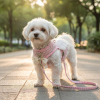 Harness and Leash Set Adjustable Chest Strap Breathable Dog Harness for Small Dogs, Young Dogs, Outdoor, Walking