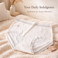 Underwear Women High Waisted Knickers with Silkworm Silk Gusset for Plus Size, Breathable Bamboo Fibre Pants with Extended Coverage