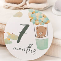 14 Pieces Baby Milestone Cards Pastel Milestone Card Set with Teddy Bear Cute Whimsical for Parents, Nursery Photos, Scrapbook