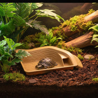 Double-Function-Function Turtle Soaking Pool Easy to Clean Turtle Feeding Station with Water Bowl Non-Slip Surface Tortoise Water Bowl with Ramp Thickened Material for Terrarium, Vivarium