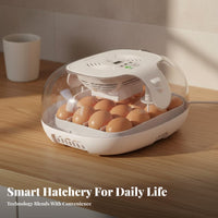 Intelligent Temperature Control Automatic Egg Incubator 360° Air Circulation Intelligent Egg Hatching Machine for Beginners, Small Farm