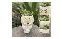 Novelty Toilet-Shaped Planter Funny Toilet Planter Quirky Succulent Pot Whimsical for Gardeners, Garden, Patio, Balcony