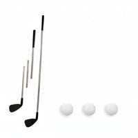 Golf Practice Club with Balls Disassemblable Detachable Golf Club Compact for Beginners, Golfers, Home, Backyard