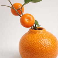 Home Decoration Ceramic Vase for Flowers with Creative Fruit Shape Design, Small for Living Room Decor and Desktop Display