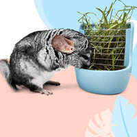Metal Divider Hay and Feed Dish Glazed Ceramic Hay Rack Two-in-onePurpose Grass Rack with Basin Horizontal Rods