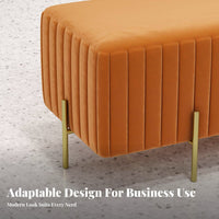 Padded Metal-Frame Bench Light Luxury Design Long Stool Soft padding Indoor Seating for Adults, Business Owners, Clothing boutsideique, Fitting Room, Hallway