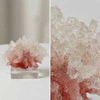Coral Sculpture with Acrylic Base Tabletop Coral Sculpture Translucent Resin Ornament with Base for Living Room, Office Desk