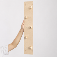 climbing wall panel