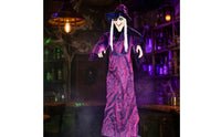 Sound Activated Hanging Witch Ghost indoor/outdoor Witch Ghost with Light-up Eyes Easy to Install Animated Halloween Prop Battery Powered for Haunted Houses, Entryways
