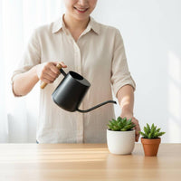 Metal Watering Can Compact Small Wooden Handle Watering Can Easy to Control for Desk