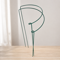 Iron Art Half-Round Plant Support Stakes for Climbing Plants, Orchids, Hydrangeas, and Roses