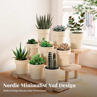 adaptable Tiered Display Riser Space-Saving Stepped Display Stand adaptable desktop Organizer Enhanced Visibility for Plant Lovers, Shop Owners, Desktop, Vendor Events, Craft Fair, Windowsill