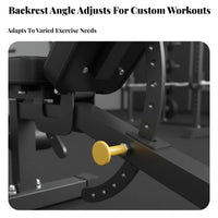 Multifunctional Dumbbell Bench Stable Structure Home Gym Equipment Heavy Duty