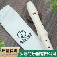 BST Soprano 8-Hole Recorder for School Music