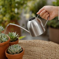 450ml Silver Mini Watering Can, Steel Indoor Watering Can with Ergonomic Grip, for Potted Plant & Houseplant Care