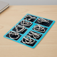 Metal Interlocking Brain Teaser Puzzle Set