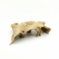 Resin Aquarium Cave Natural Aquarium Rock Cave Aquatic Tank Hideout Safe for Aquascaping
