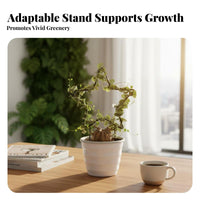 Heart-Shaped Pot Trellis Desktop Size Mini Shaped Trellis Creative and elegance