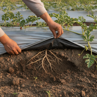 Silver-Black Agricultural Mulch Film for Watermelon Cultivation - Thickened, Insulating, Reflective, Weed Control