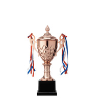 Polished Metal Award Trophy Shiny Trophy with Lid Classic Customizable for Sports Teams, Students, Kids