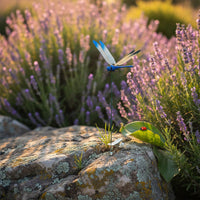3 Pieces Clasp-on Dragonfly Stake Colorful Dragonfly Plant Clip Decorative Outdoor Decor for Yard