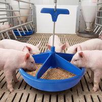 Piglet Feeder Molded Baby Pig Feeder Low-Maintenance Open for Piglets, Nursery Pen, Farm