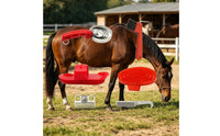 6 Pieces Horse Grooming Set Black Bristles Horse Grooming Kit Equine Brush Set Allall-in-All-Inclusive Portable for Riders