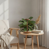 Hat Display Stand with Round Base Simple Hat Stand Minimalist for Retailers