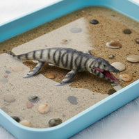 Dinosaur Model Realistic Dinosaur Figurine Trues Life for Collection, Desk
