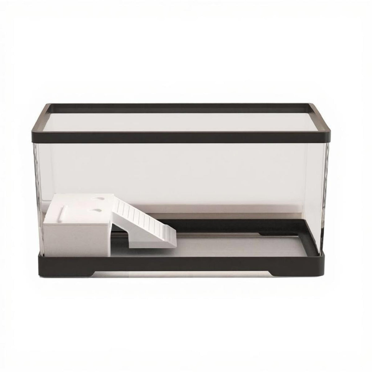 Turtle Tank with Basking Platform, Clear Desktop Terrarium