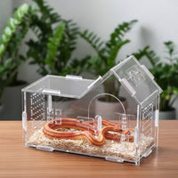 Clear Acrylic Amphibian Enclosure Ventilated Design House-Shaped Pet Habitat Arachnid Habitat Optimal Ventilation for Beginners