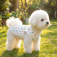 Post-Surgery Dog Suit and Recovery Suit for Dogs, Short Sleeve Body Canine Garment Bodysuit with Belly Protection