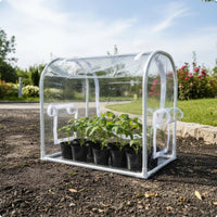 Foldable Outdoor Greenhouse Tent Roll-up Door Portable Mini Greenhouse Protected for Balcony