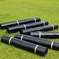 HDPE Geomembrane Roll, Pond Liner 0.2-2.0mm, Waterproof Construction Film for Fish Pond & Garden Pond, Weather-Resistant, Black