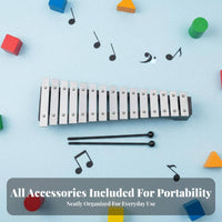 Clear, Rich Sound 15-Note Colorful Metallophone Well-Tuned Cased Xylophone Set Child-Safe Mallets Glockenspiel Color-Coded Notes for Preschoolers, Music Beginners, cateand proceedryroom, Kindergarten, Daycare Centers, Playroom