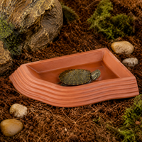 Reptile Water Dish, Water Feeder, For Tortoises, For Terrariums, Plastic, Small, 18.5×14×2.5cm, Easy to Clean
