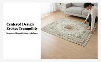 Modern Area Rug, Non Slip, Easy Care Chenille, Living Room