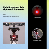 Rechargeable Bike Tail Light, Waterproof, 6+4 Modes
