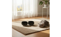 Spill Proof Elevated Double Cat Bowl Detachable Design Elevated Food Water Bowls