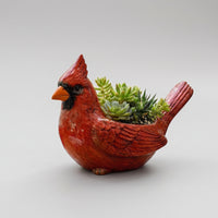 Avian Planter Carved Bird Pot Glazed Container for Plant Lovers, Gardeners, Windowsill, Patio