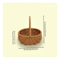 2 Pieces Multi-Purpose Plastic Rattan Basket Multipurpose Flower Basket with Handle Portable