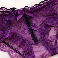 Women's Knickers with Lace Trim and Gusset for Daily Use, Nylon Material Breathable Mid Rise Design for Everyday Wear