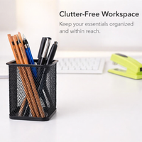 Desk Organizer Pen Holder, Metal Mesh Stationery for Office Home School, Wire Frame Desktop Storage for Pencils Brushes Adults