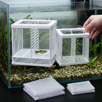 Fish Breeding Isolation Box with Net for Aquarium, Guppy Fry Hatchery and Nursery