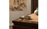 Brass Turtle Figurine Collectible Turtle Figurine Low-Profile Feng Shui Ornament for Collectors, Desk