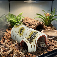 Realistic Reptile Hide and PVC Reptile Hide, Crested Gecko Enclosure Accessories for Turtle and Reptile, Hollow Interior Shelter