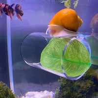 Hiding Place Betta Aquatic Pet Tunnel Creates Natural Environment Acrylic Betta Tube Easy Installation Aquarium Accessory