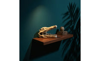 Hand-Painted Crocodile Skull Ornament Compact Aquarium Cave with Hollow Design Realistic Resin Skull Decoration Natural-Looking for Aquatic Pets Keepers, Terrarium