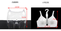 Transparent Panty Display Stand for Lingerie Store
