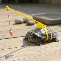Turtle Leash Harness case-Mounted Turtle Training Tool Hanging Lure Tortoise Harness Leash